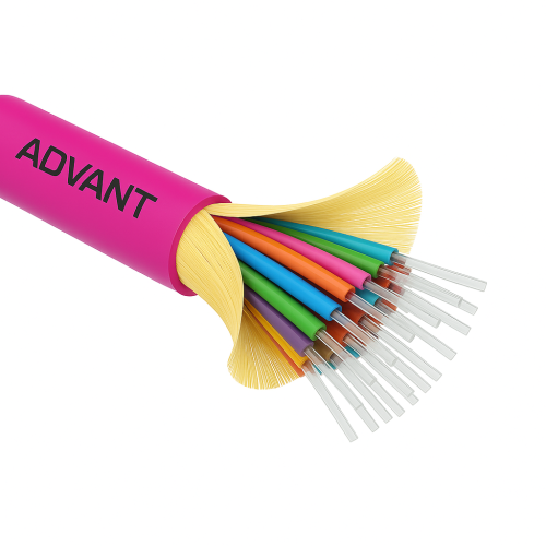 ADVOM4-FO24-UV-LY